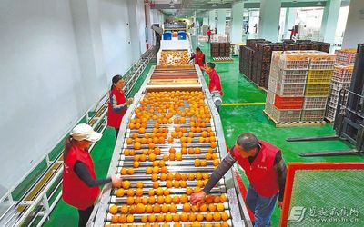 全自動農業設施繪&ldquo;豐&rdquo;景