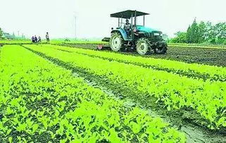 重磅│國務院已經拍板 這七類重慶人要漲工資了