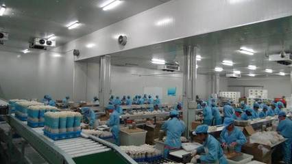 一場(chǎng)一品丨五四農(nóng)場(chǎng)九道菇