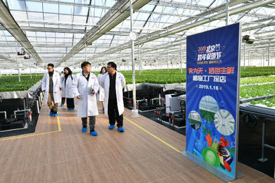 2019北京跨年促銷節(jié)品質(zhì)升級(jí) 水培蔬菜點(diǎn)綴綠色生活