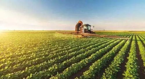 關(guān)于開展土地經(jīng)營(yíng)權(quán)入股發(fā)展農(nóng)業(yè)產(chǎn)業(yè)化經(jīng)營(yíng)試點(diǎn)的指導(dǎo)意見