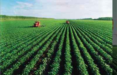 萬(wàn)旺原生態(tài)農(nóng)產(chǎn)品,萬(wàn)旺原生態(tài)農(nóng)業(yè)