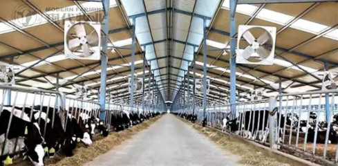 二十四節(jié)氣游蒙牛:芒種來(lái)看蚌埠"種養(yǎng)加"一體化工廠