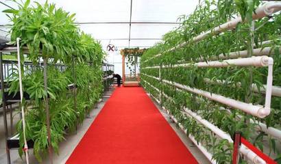 鄉(xiāng)村旅游的常見六大模式,有空可以去體驗(yàn)體驗(yàn)