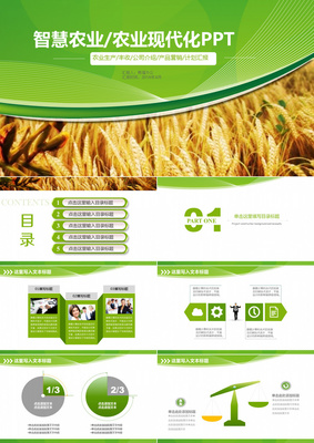 智慧農(nóng)業(yè)農(nóng)產(chǎn)品現(xiàn)代化PPT