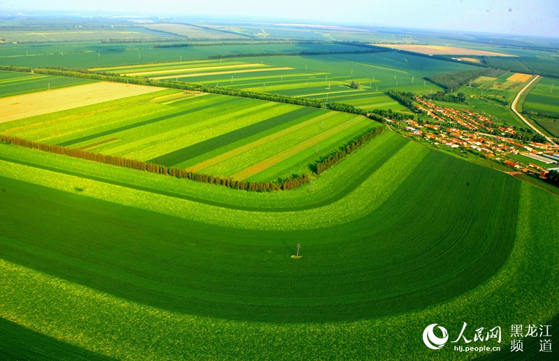 &ldquo;北大荒現代化大農業主題攝影作品展&rdquo;在北京國際攝影周展出