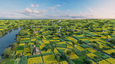 鳥瞰平原農田,現代田園,農田鳥瞰,油菜花田,生態農村,生態田園,生態農業鳥瞰田野,河流,田野,漁船,