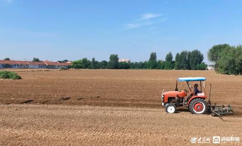 特色金融產品助力桓臺農業產業發展提質增效