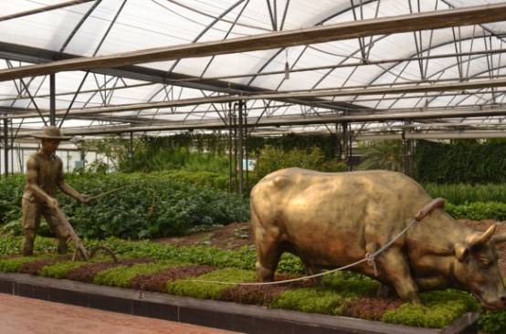 植物工廠走進(jìn)生活 農(nóng)場(chǎng)變農(nóng)廠 家庭自給 蔬菜柜 ,你get到了嗎