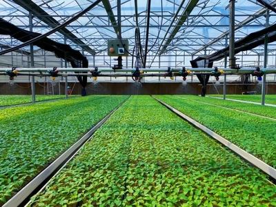 【就業(yè)創(chuàng)業(yè)】赤峰市創(chuàng)業(yè)大賽優(yōu)秀項(xiàng)目展示:&ldquo;育&rdquo;出振興路 &ldquo;苗&rdquo;繪新藍(lán)圖--標(biāo)準(zhǔn)化育苗工廠項(xiàng)目