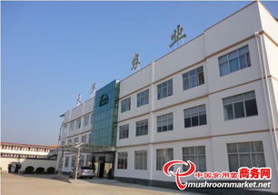 江西 贛州工廠化食用菌遠(yuǎn)銷海外