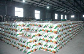 壽光蔬菜種植技術員外派 蔬菜種