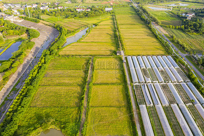 航拍農(nóng)業(yè)稻田