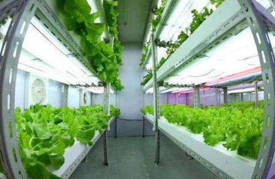 臺(tái)灣源鮮集團(tuán)董事長蔡文清:臺(tái)植物工廠產(chǎn)品將營銷到北歐各國,未來將開發(fā)北歐市場