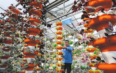 農業夢工廠種養更環保