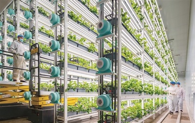 大國強農向新行 現代農業發展的戰略路徑