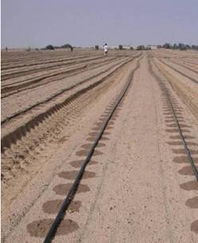 蒲城縣龍池晉城雪鵬滴灌帶廠農(nóng)業(yè)用具產(chǎn)品列表